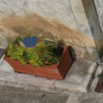 photofly_03