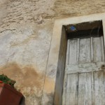 photofly_04