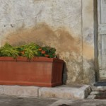 photofly_06
