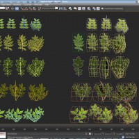 TreePainter 19
