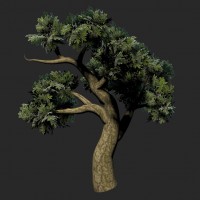 TreePainter 22